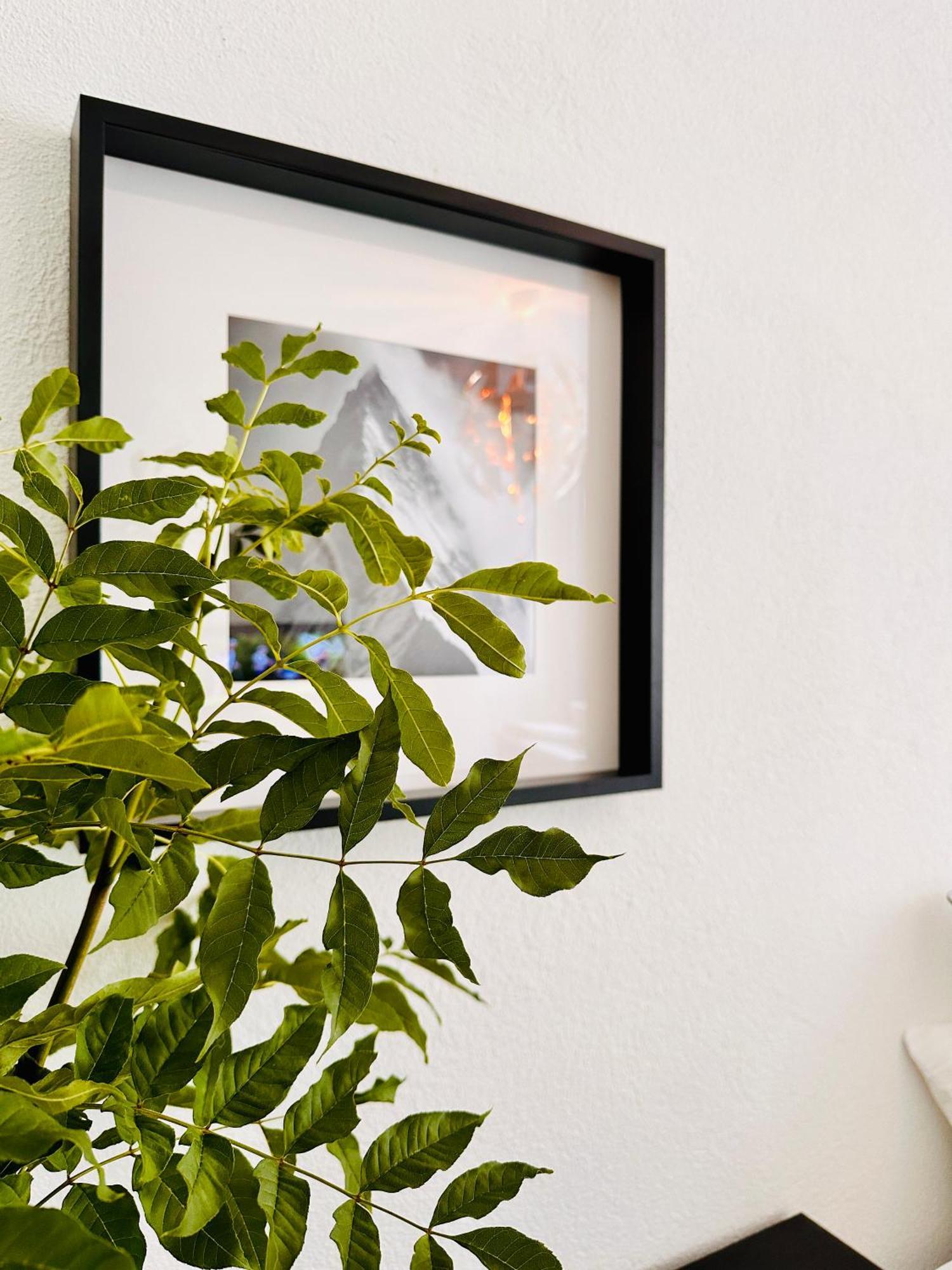 Schoene Ferienwohnung Schottwien エクステリア 写真